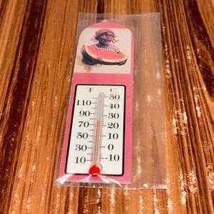 Vintage Fridge Magnet Thermometer New Old Stock